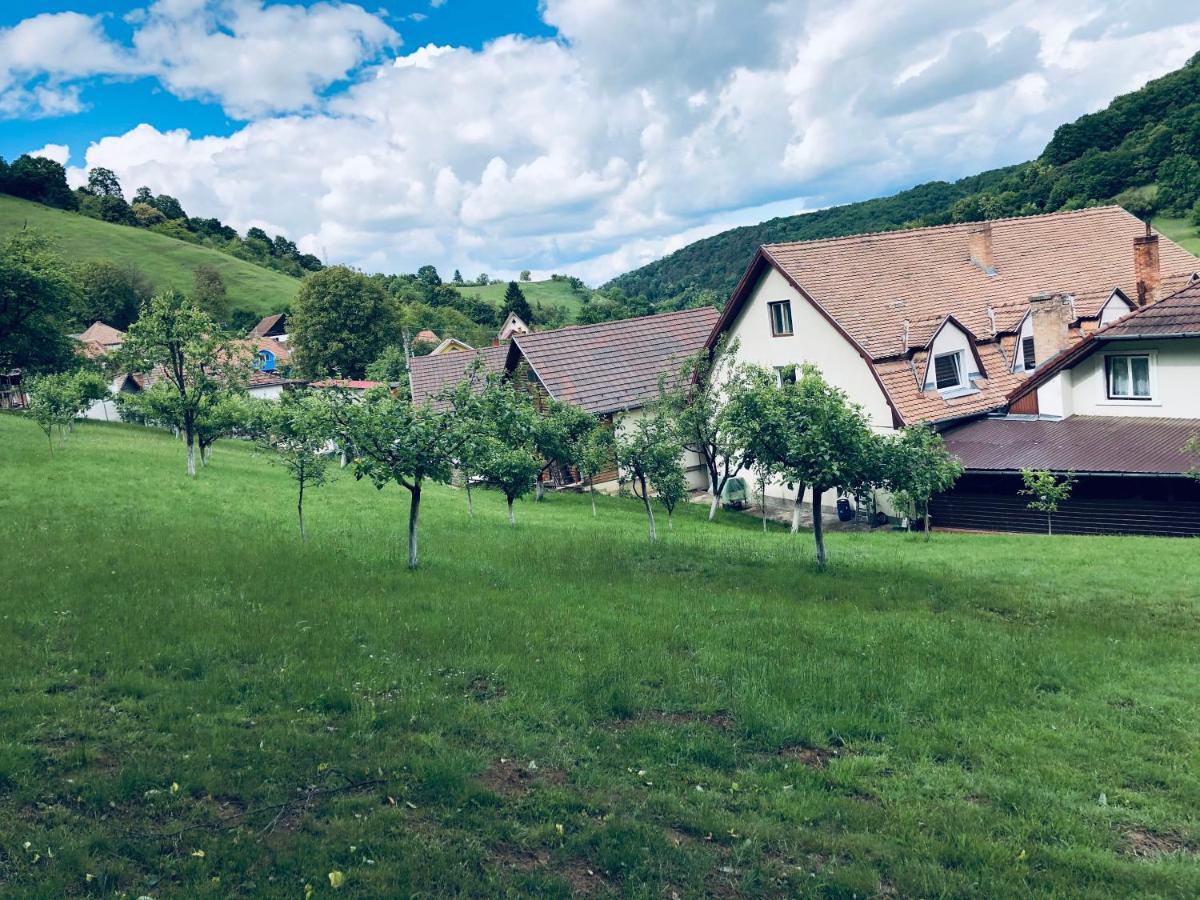 Hotel Poenita Sighişoara Exteriör bild